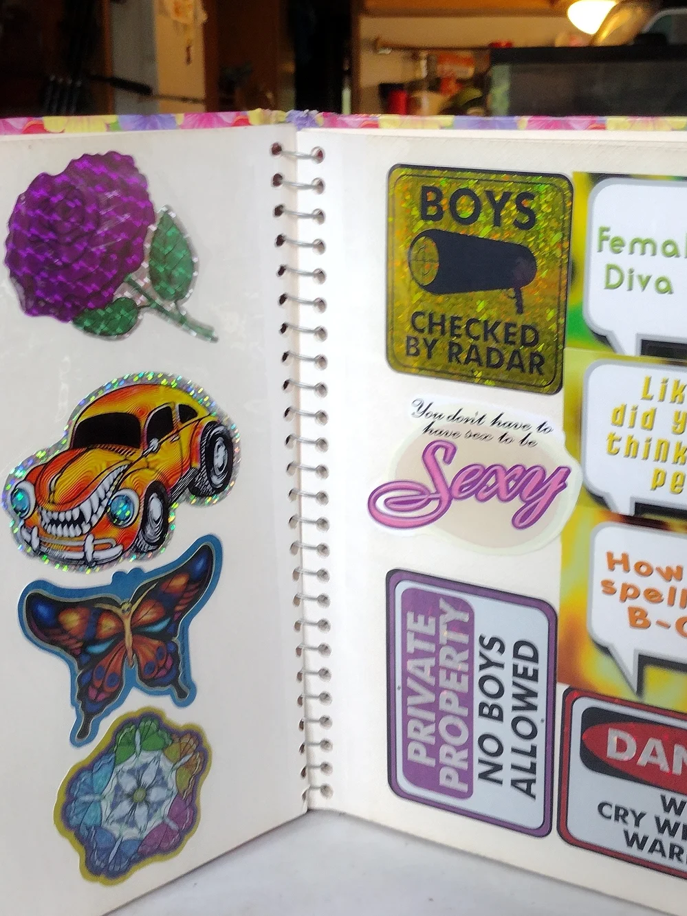 Vindage Sticker Collectsion